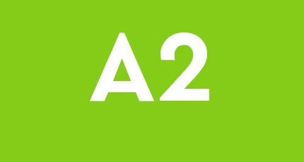 A.l.a. 2013 Societa' Cooperativa