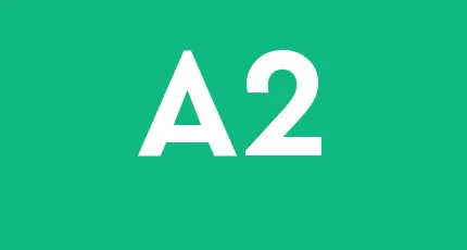 A.p.a. 2000 Costruzioni Soc. Coop. A.r.l.