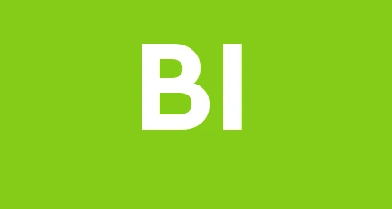 Bustraser Italia S.r.l.