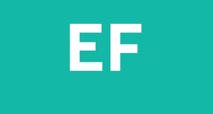 Edil Fiorentini Societa a Responsabilita Limitata
