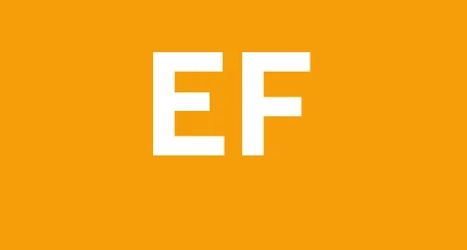 Edil Futura Di Neamtu Stefan Gabriel