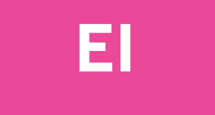 Edilizia Industriale Srl