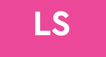 Lepsa S.r.l.