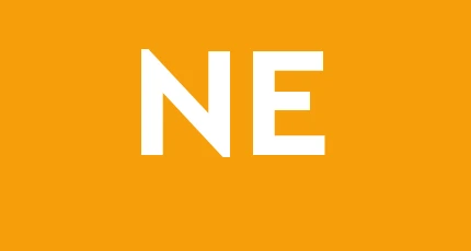 Nuova Edilizia Paglia Societa'